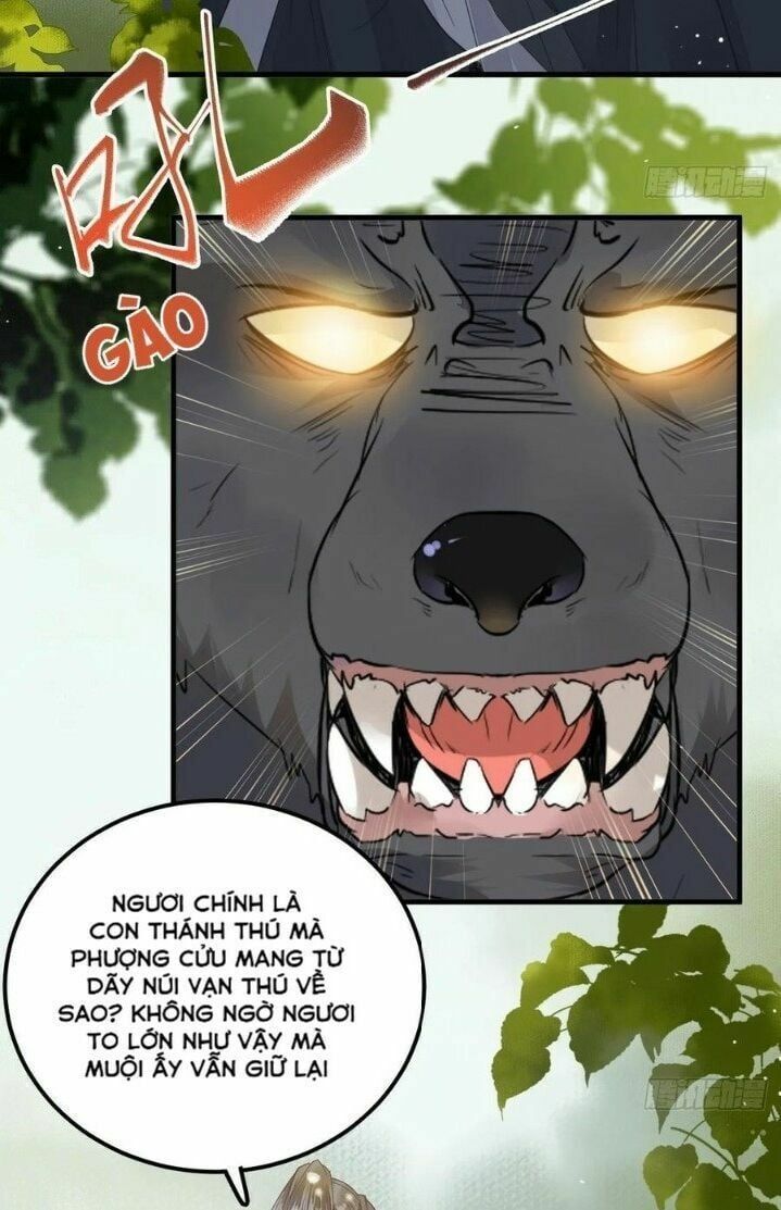 đọc truyện Tuyệt Sắc Quyến Rũ: Quỷ Y Chí Tôn Chương 265 ảnh 5 tại Thiên Thai Truyện