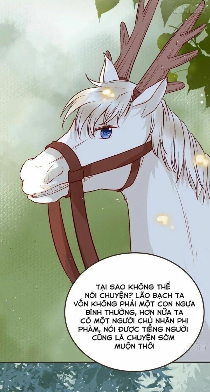 đọc truyện Tuyệt Sắc Quyến Rũ: Quỷ Y Chí Tôn Chương 265 ảnh 10 tại Thiên Thai Truyện