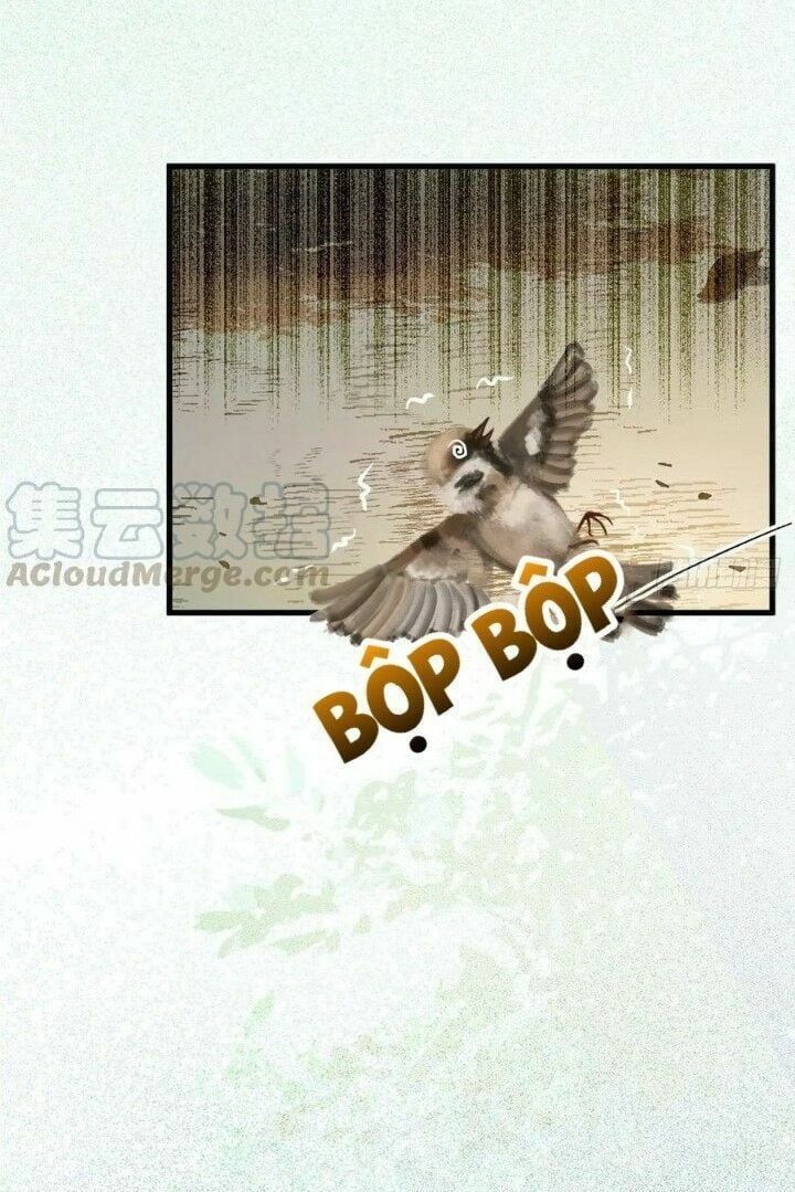 đọc truyện Tuyệt Sắc Quyến Rũ: Quỷ Y Chí Tôn Chương 267 ảnh 14 tại Thiên Thai Truyện