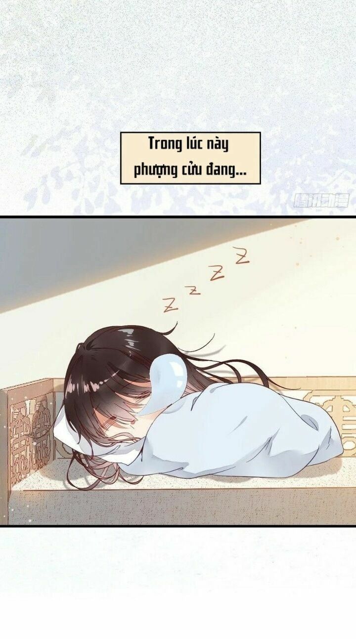 đọc truyện Tuyệt Sắc Quyến Rũ: Quỷ Y Chí Tôn Chương 267 ảnh 44 tại Thiên Thai Truyện