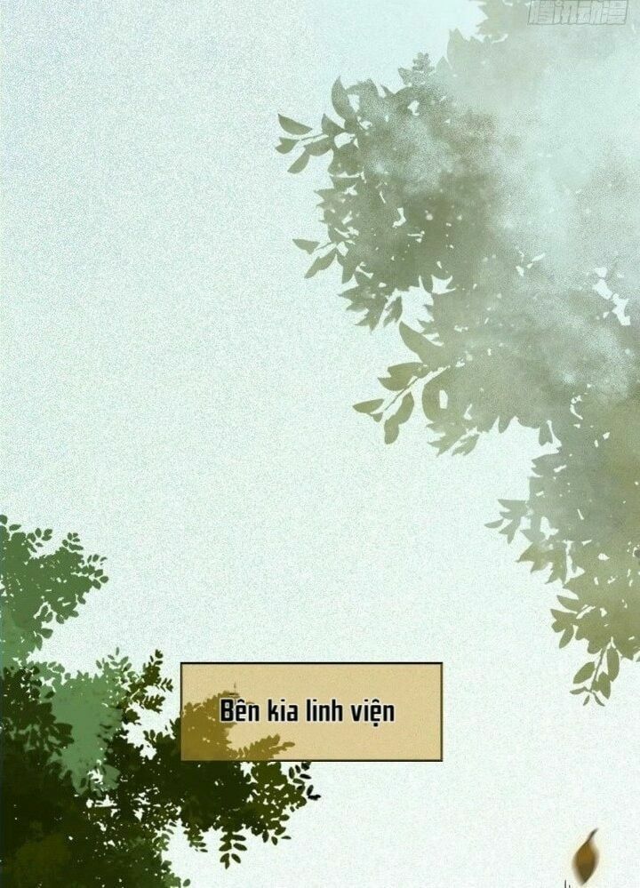 đọc truyện Tuyệt Sắc Quyến Rũ: Quỷ Y Chí Tôn Chương 267 ảnh 8 tại Thiên Thai Truyện