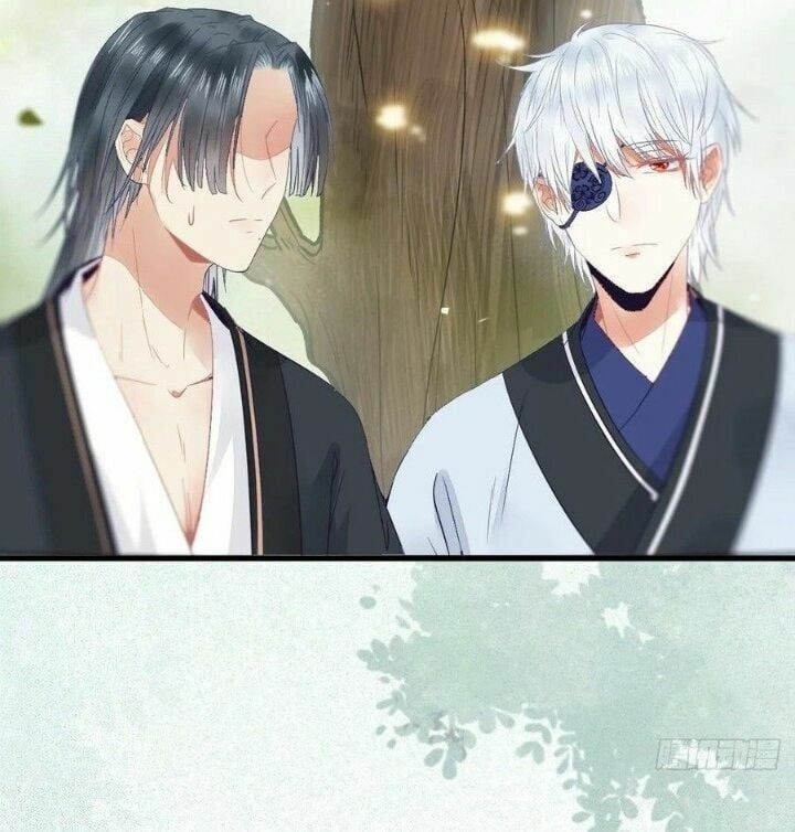 đọc truyện Tuyệt Sắc Quyến Rũ: Quỷ Y Chí Tôn Chương 269 ảnh 19 tại Thiên Thai Truyện