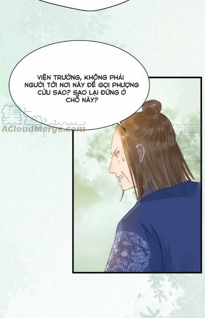 đọc truyện Tuyệt Sắc Quyến Rũ: Quỷ Y Chí Tôn Chương 269 ảnh 31 tại Thiên Thai Truyện