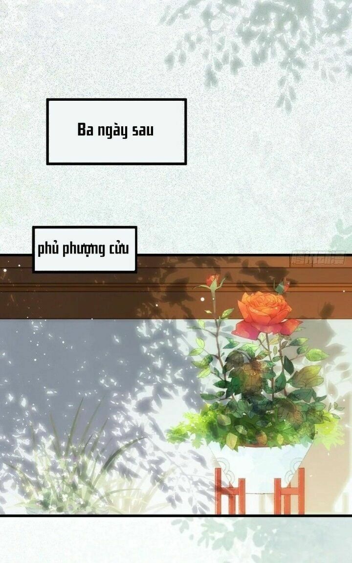 đọc truyện Tuyệt Sắc Quyến Rũ: Quỷ Y Chí Tôn Chương 271 ảnh 33 tại Thiên Thai Truyện