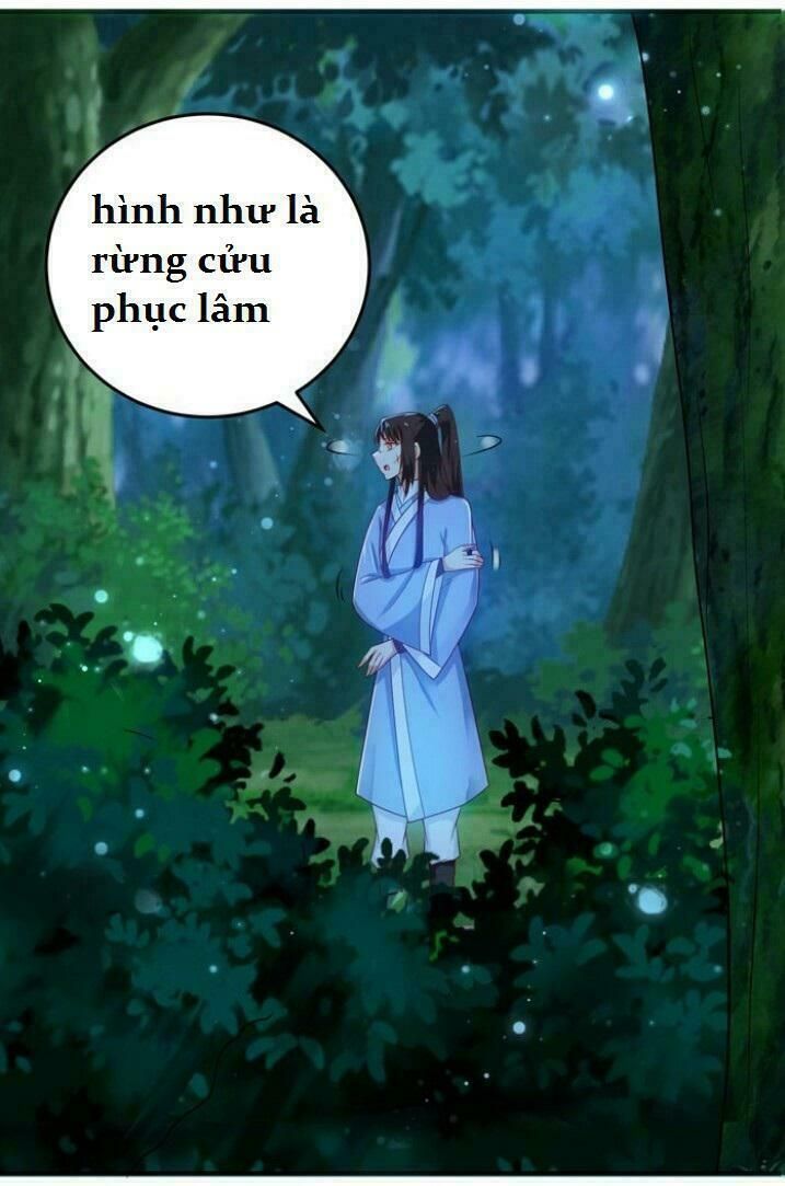 đọc truyện Tuyệt Sắc Quyến Rũ: Quỷ Y Chí Tôn Chương 28 ảnh 9 tại Thiên Thai Truyện