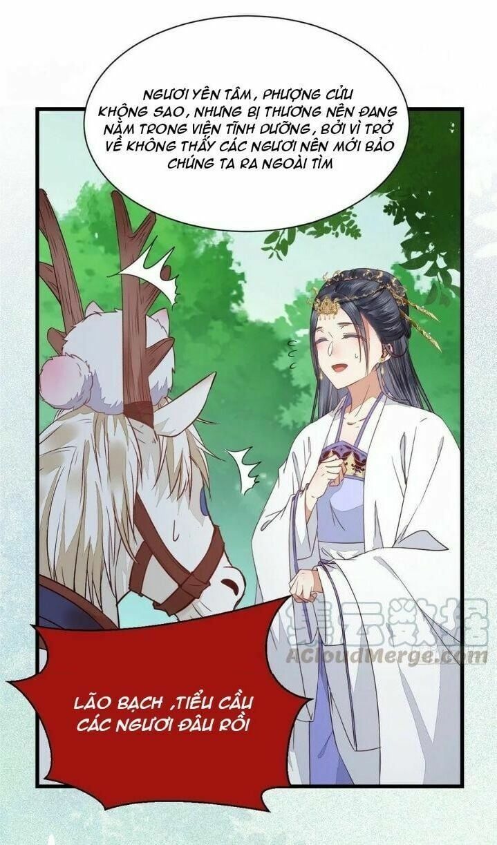 đọc truyện Tuyệt Sắc Quyến Rũ: Quỷ Y Chí Tôn Chương 280 ảnh 42 tại Thiên Thai Truyện