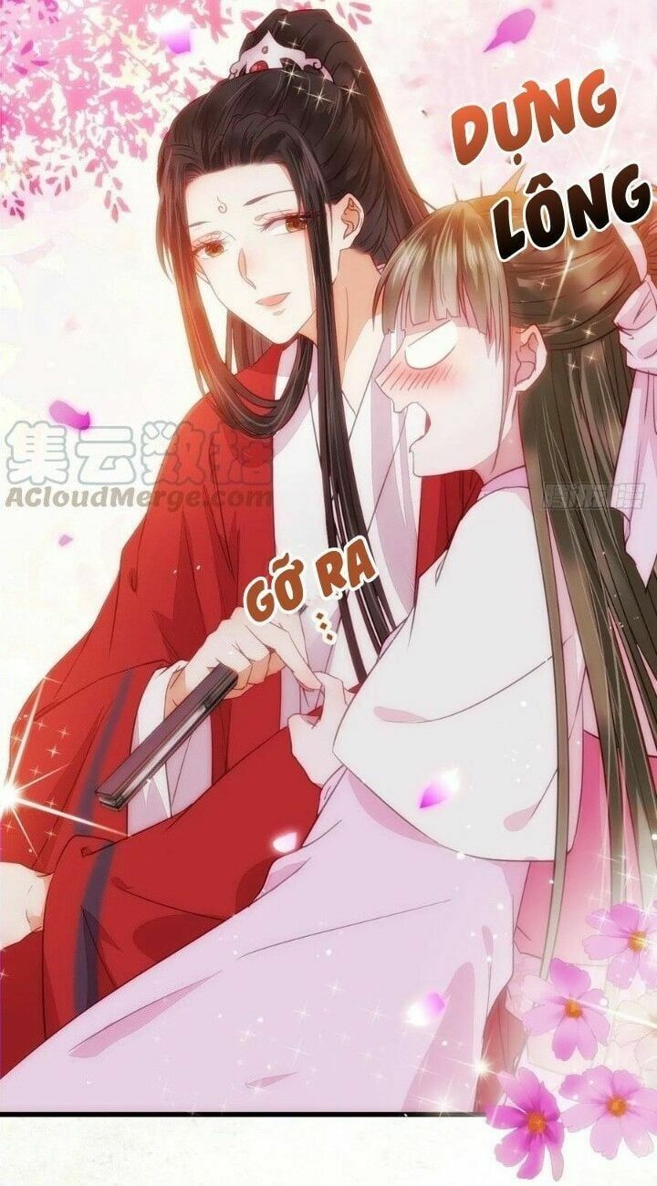 đọc truyện Tuyệt Sắc Quyến Rũ: Quỷ Y Chí Tôn Chương 282 ảnh 52 tại Thiên Thai Truyện