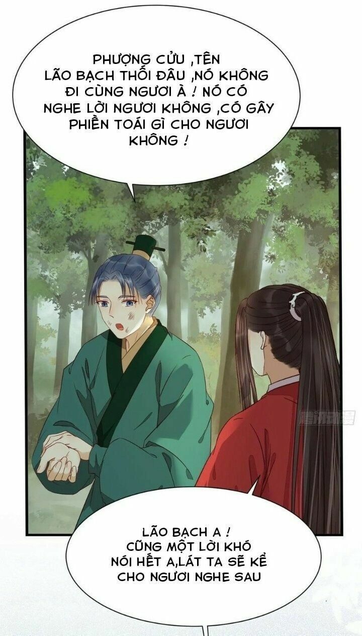 đọc truyện Tuyệt Sắc Quyến Rũ: Quỷ Y Chí Tôn Chương 284 ảnh 9 tại Thiên Thai Truyện