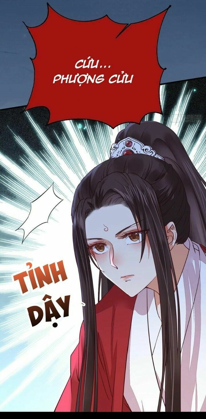 đọc truyện Tuyệt Sắc Quyến Rũ: Quỷ Y Chí Tôn Chương 285 ảnh 13 tại Thiên Thai Truyện