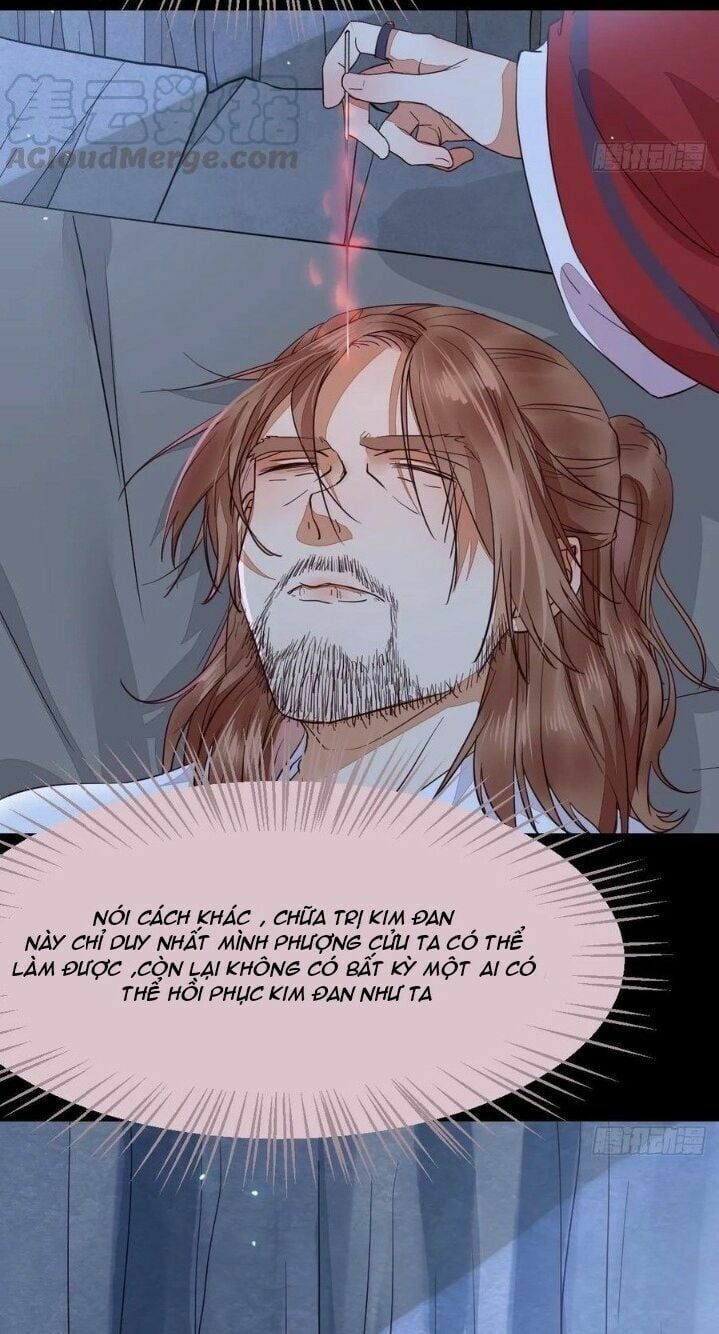 đọc truyện Tuyệt Sắc Quyến Rũ: Quỷ Y Chí Tôn Chương 289 ảnh 18 tại Thiên Thai Truyện