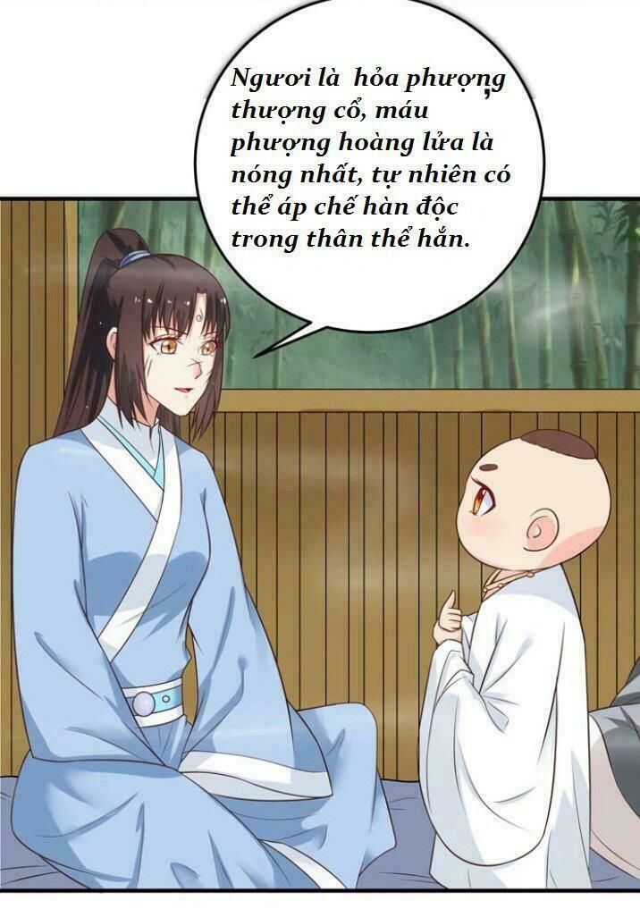 đọc truyện Tuyệt Sắc Quyến Rũ: Quỷ Y Chí Tôn Chương 29 ảnh 16 tại Thiên Thai Truyện