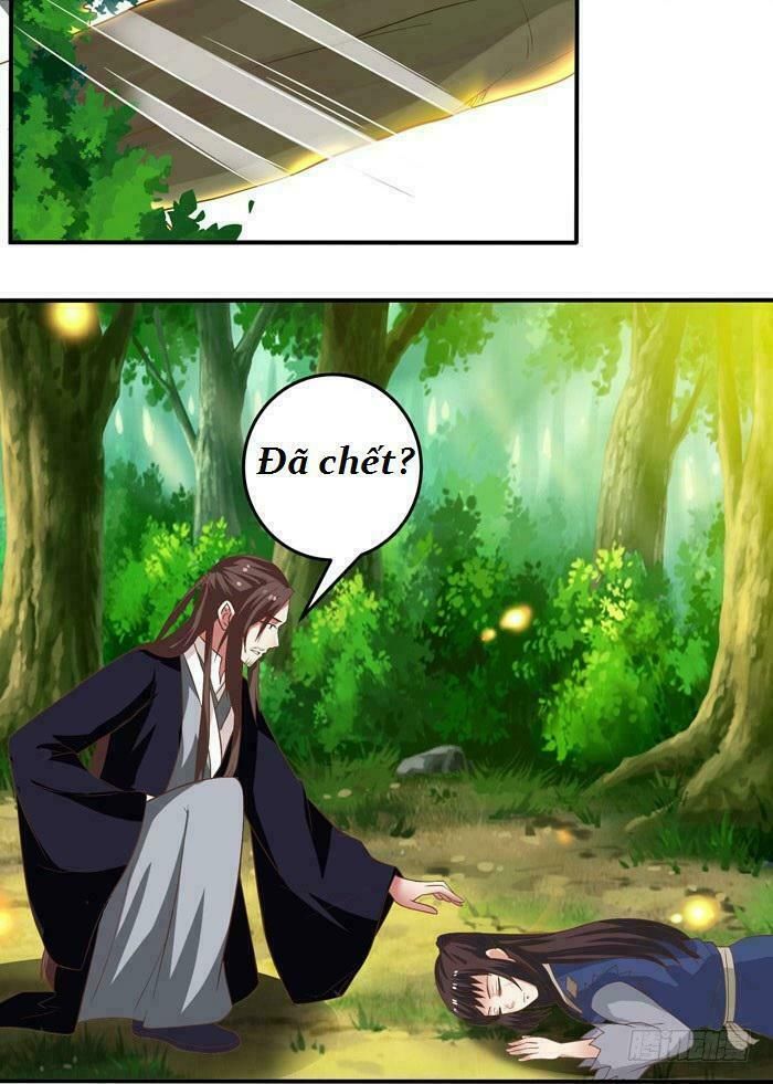 đọc truyện Tuyệt Sắc Quyến Rũ: Quỷ Y Chí Tôn Chương 3 ảnh 21 tại Thiên Thai Truyện