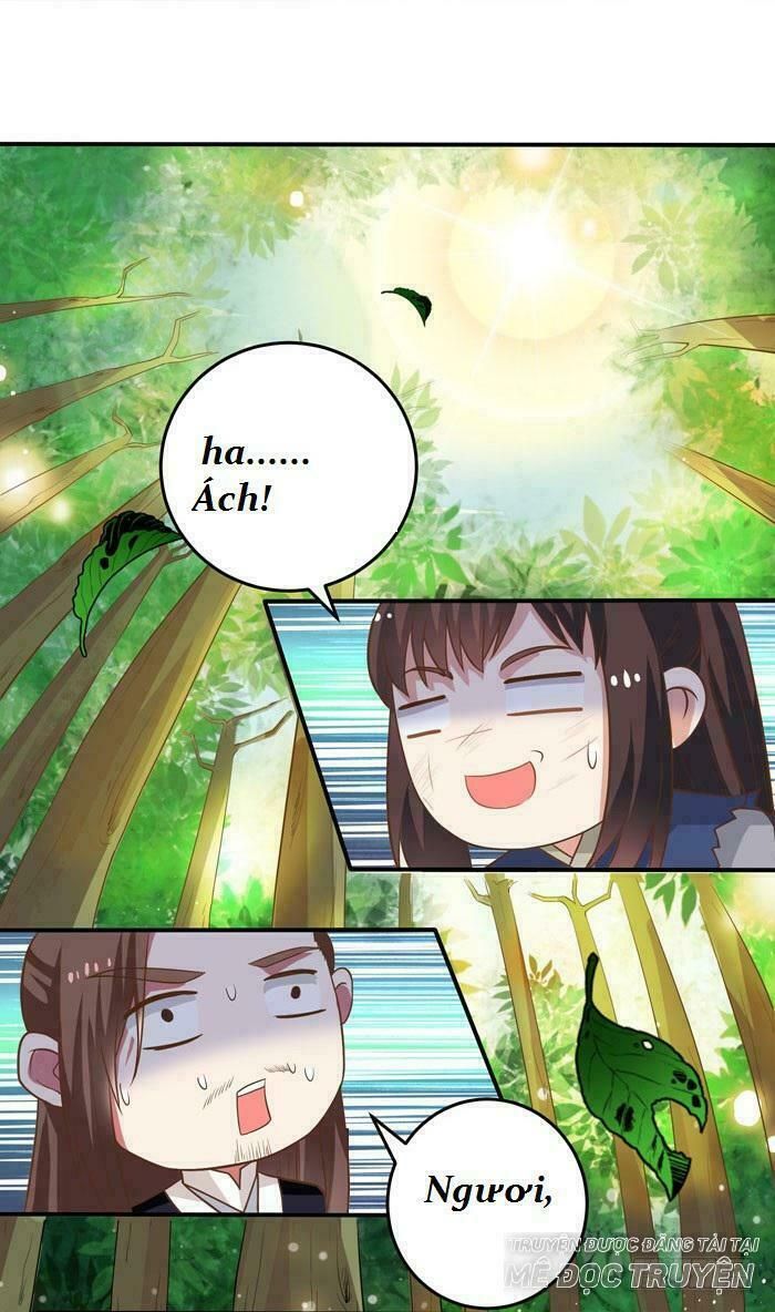 đọc truyện Tuyệt Sắc Quyến Rũ: Quỷ Y Chí Tôn Chương 3 ảnh 23 tại Thiên Thai Truyện