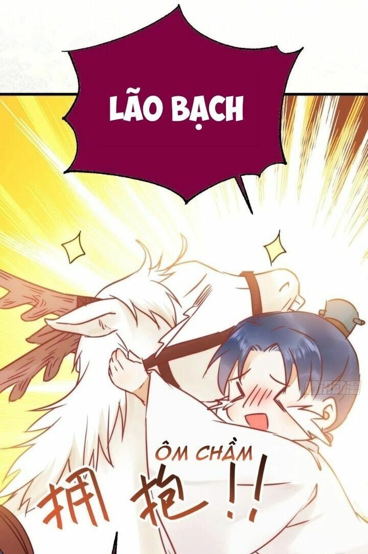 đọc truyện Tuyệt Sắc Quyến Rũ: Quỷ Y Chí Tôn Chương 310 ảnh 50 tại Thiên Thai Truyện