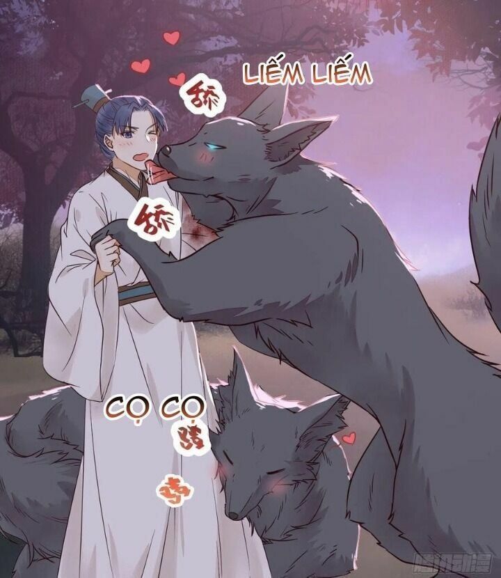 đọc truyện Tuyệt Sắc Quyến Rũ: Quỷ Y Chí Tôn Chương 312 ảnh 29 tại Thiên Thai Truyện