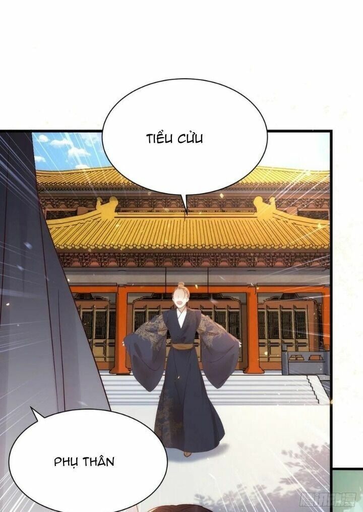 đọc truyện Tuyệt Sắc Quyến Rũ: Quỷ Y Chí Tôn Chương 313 ảnh 51 tại Thiên Thai Truyện