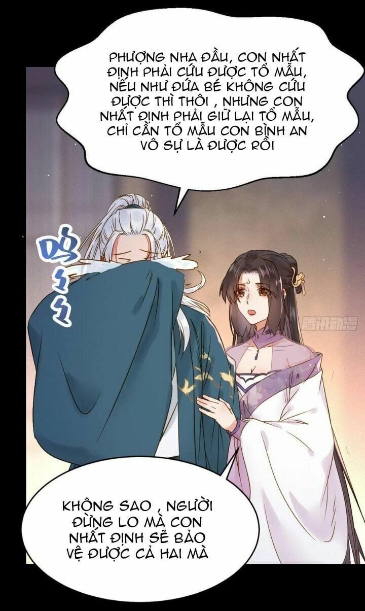 đọc truyện Tuyệt Sắc Quyến Rũ: Quỷ Y Chí Tôn Chương 317 ảnh 12 tại Thiên Thai Truyện