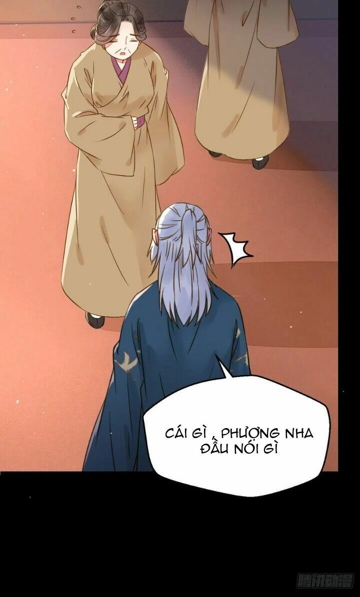 đọc truyện Tuyệt Sắc Quyến Rũ: Quỷ Y Chí Tôn Chương 317 ảnh 24 tại Thiên Thai Truyện