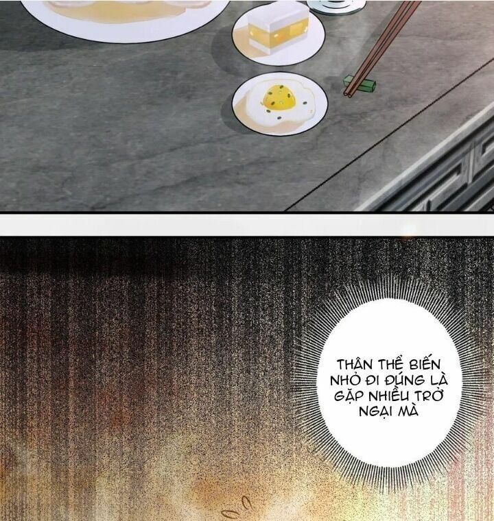 đọc truyện Tuyệt Sắc Quyến Rũ: Quỷ Y Chí Tôn Chương 318 ảnh 22 tại Thiên Thai Truyện