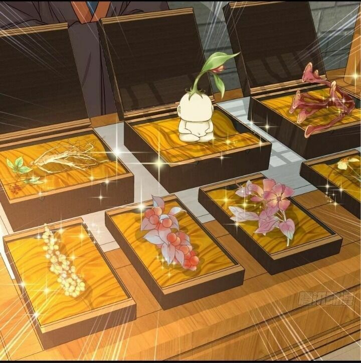 đọc truyện Tuyệt Sắc Quyến Rũ: Quỷ Y Chí Tôn Chương 325 ảnh 14 tại Thiên Thai Truyện