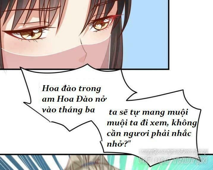 đọc truyện Tuyệt Sắc Quyến Rũ: Quỷ Y Chí Tôn Chương 33 ảnh 28 tại Thiên Thai Truyện