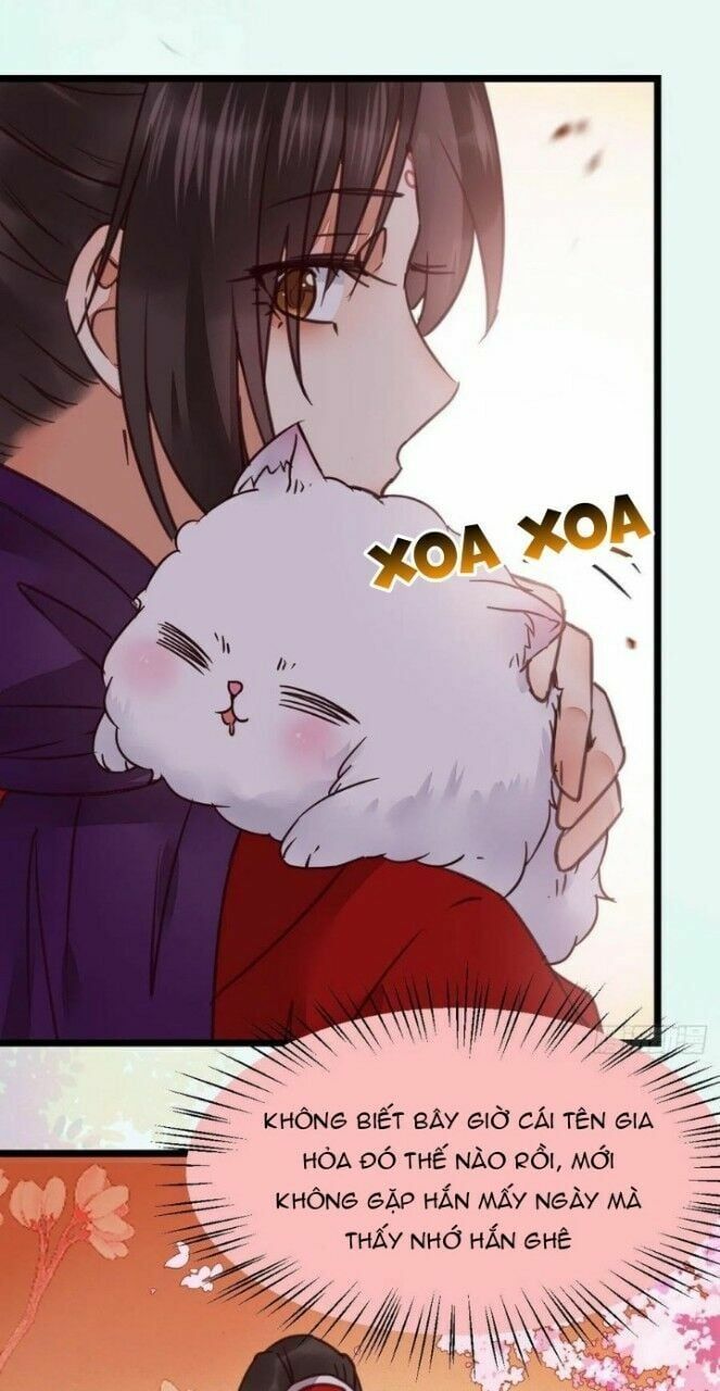 đọc truyện Tuyệt Sắc Quyến Rũ: Quỷ Y Chí Tôn Chương 330 ảnh 27 tại Thiên Thai Truyện