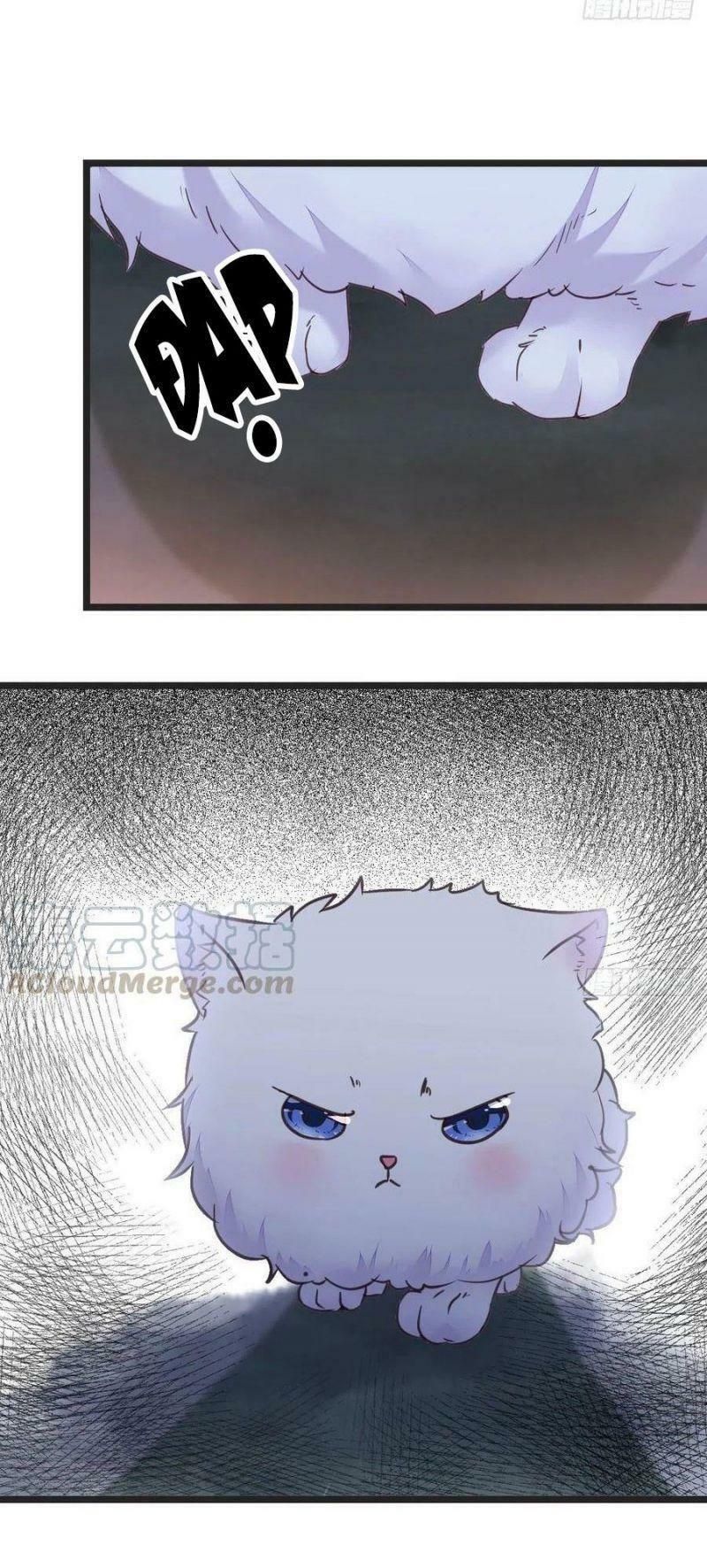 đọc truyện Tuyệt Sắc Quyến Rũ: Quỷ Y Chí Tôn Chương 355 ảnh 26 tại Thiên Thai Truyện