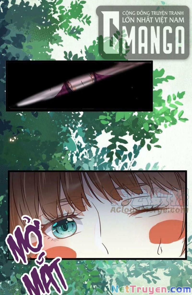 đọc truyện Tuyệt Sắc Quyến Rũ: Quỷ Y Chí Tôn Chương 373 ảnh 38 tại Thiên Thai Truyện