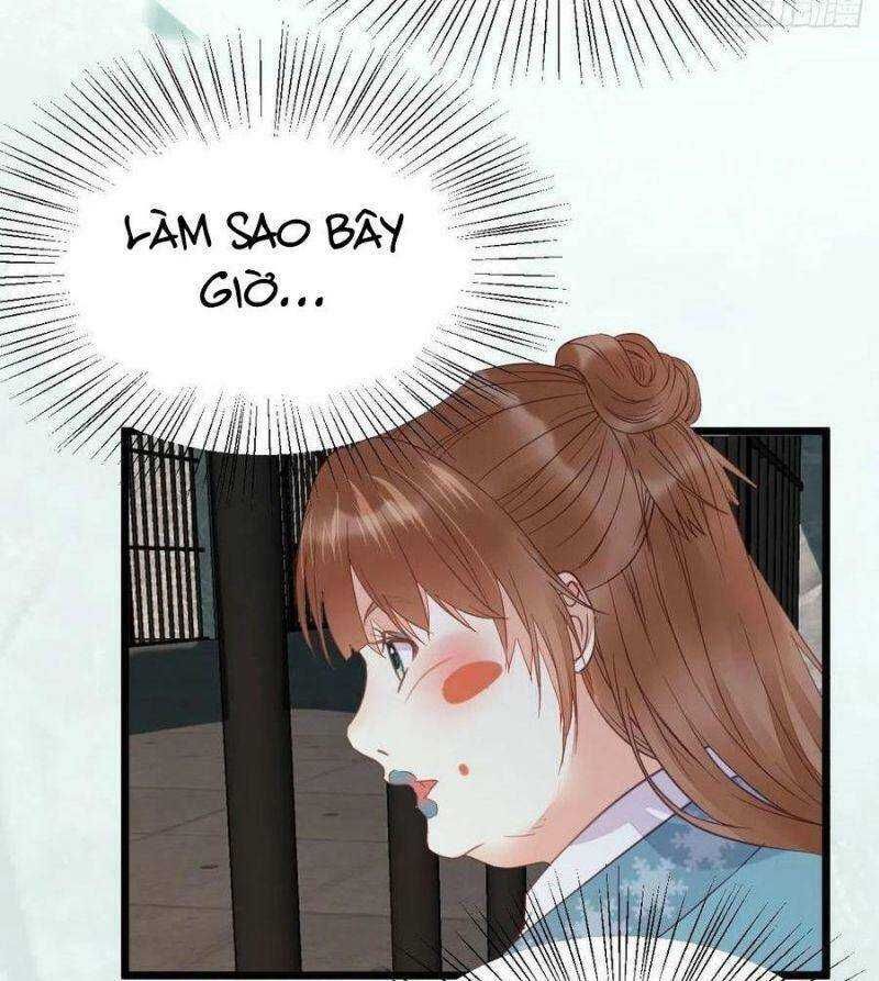 đọc truyện Tuyệt Sắc Quyến Rũ: Quỷ Y Chí Tôn Chương 374 ảnh 14 tại Thiên Thai Truyện