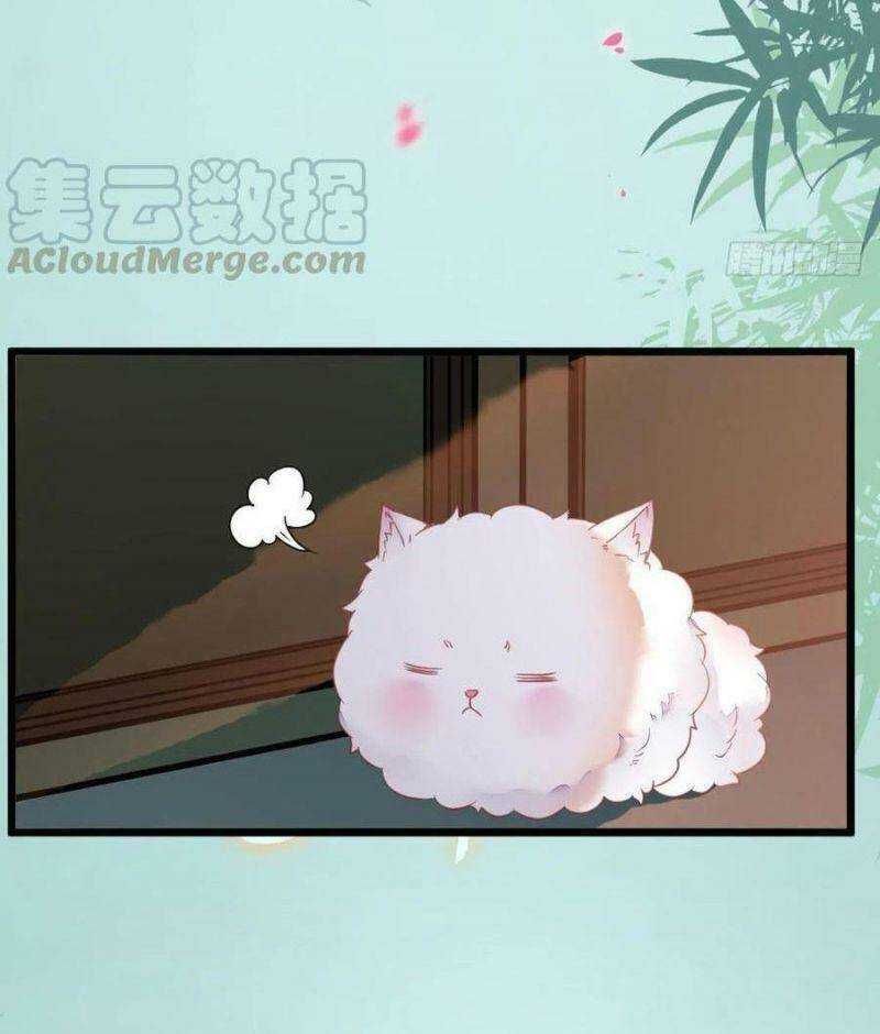 đọc truyện Tuyệt Sắc Quyến Rũ: Quỷ Y Chí Tôn Chương 376 ảnh 39 tại Thiên Thai Truyện