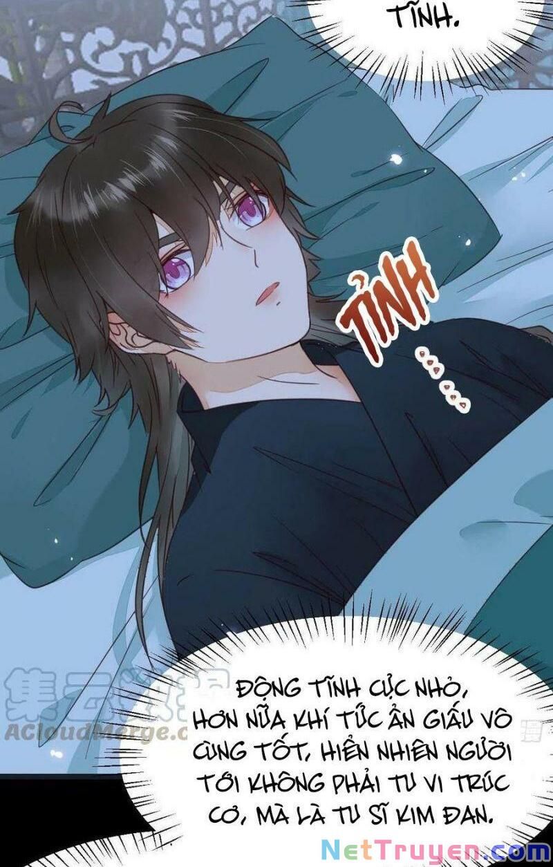 đọc truyện Tuyệt Sắc Quyến Rũ: Quỷ Y Chí Tôn Chương 377 ảnh 35 tại Thiên Thai Truyện