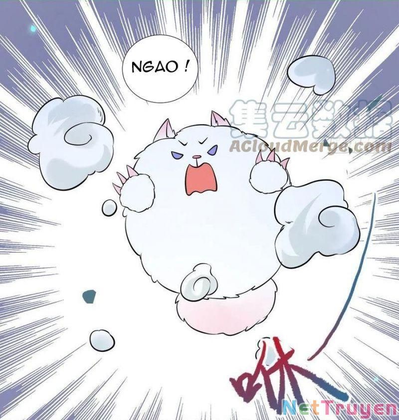 đọc truyện Tuyệt Sắc Quyến Rũ: Quỷ Y Chí Tôn Chương 416 ảnh 35 tại Thiên Thai Truyện