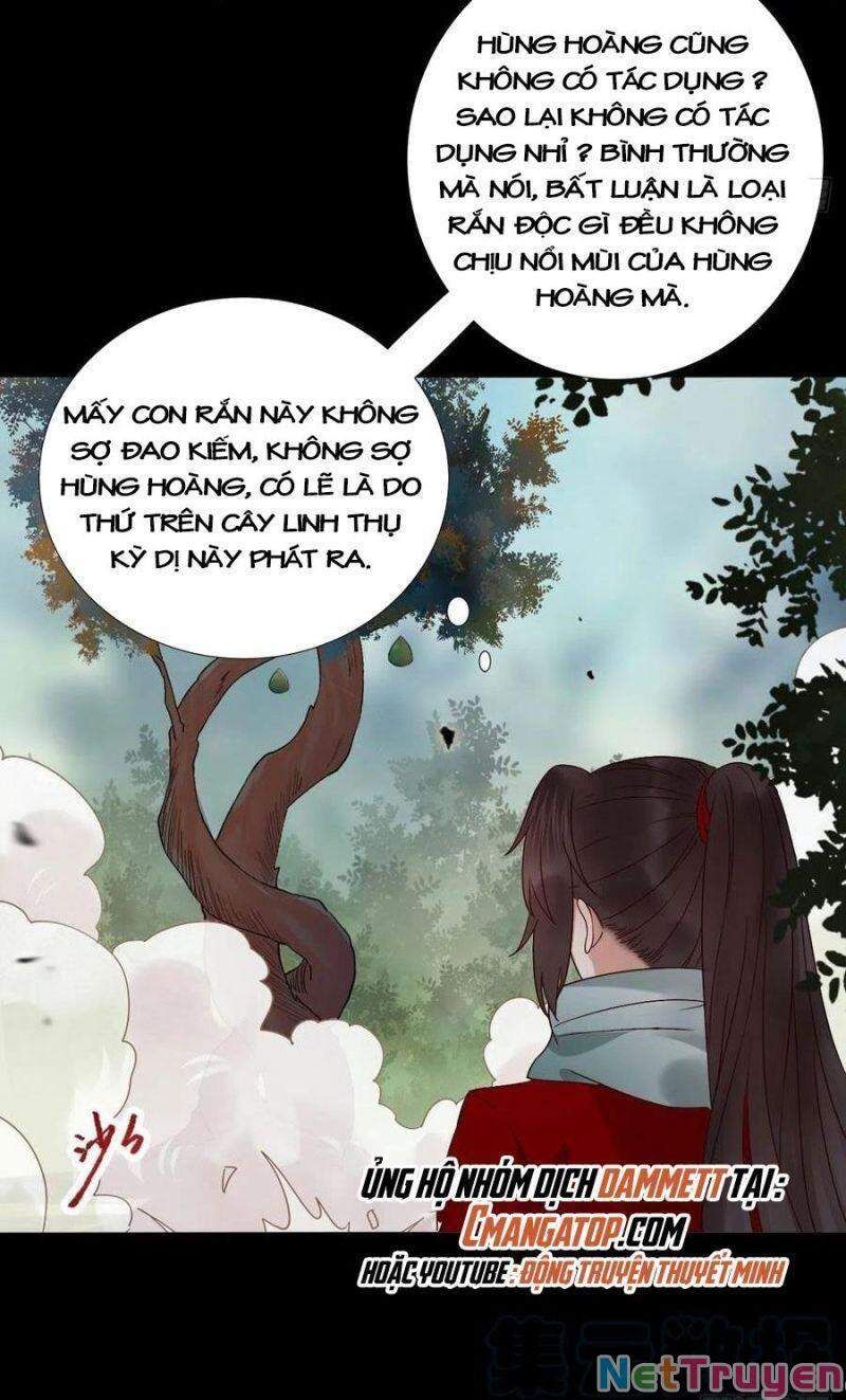 đọc truyện Tuyệt Sắc Quyến Rũ: Quỷ Y Chí Tôn Chương 420 ảnh 17 tại Thiên Thai Truyện