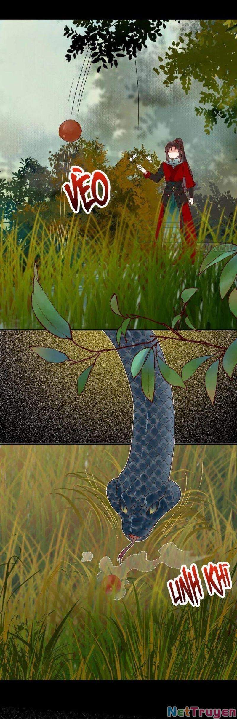 đọc truyện Tuyệt Sắc Quyến Rũ: Quỷ Y Chí Tôn Chương 420 ảnh 19 tại Thiên Thai Truyện