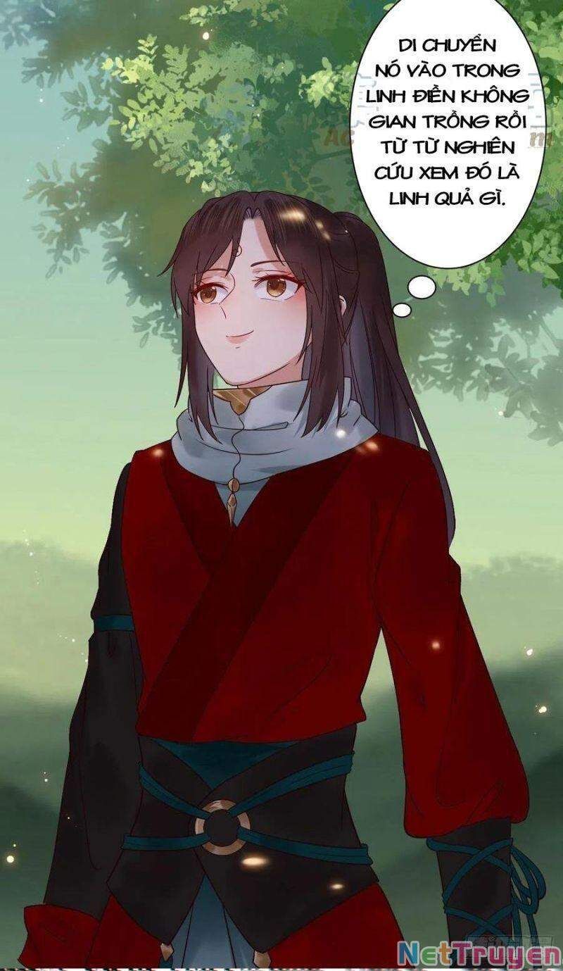 đọc truyện Tuyệt Sắc Quyến Rũ: Quỷ Y Chí Tôn Chương 420 ảnh 31 tại Thiên Thai Truyện