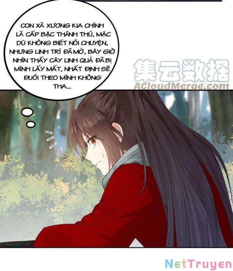 đọc truyện Tuyệt Sắc Quyến Rũ: Quỷ Y Chí Tôn Chương 421 ảnh 10 tại Thiên Thai Truyện