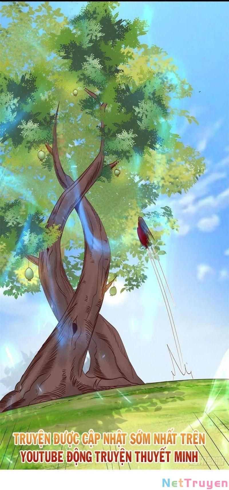 đọc truyện Tuyệt Sắc Quyến Rũ: Quỷ Y Chí Tôn Chương 422 ảnh 21 tại Thiên Thai Truyện