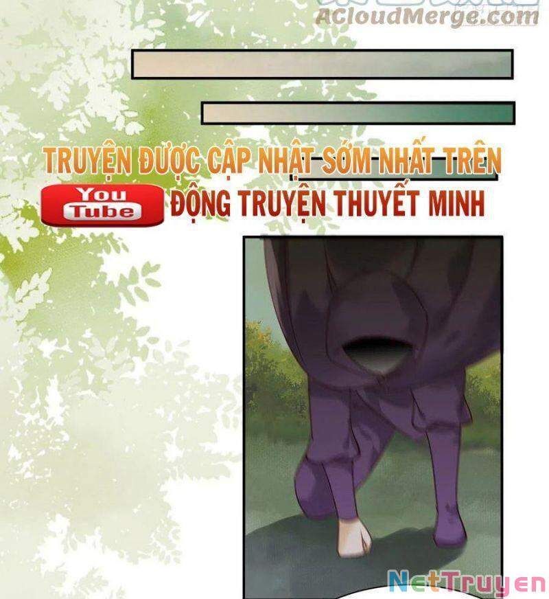 đọc truyện Tuyệt Sắc Quyến Rũ: Quỷ Y Chí Tôn Chương 423 ảnh 13 tại Thiên Thai Truyện