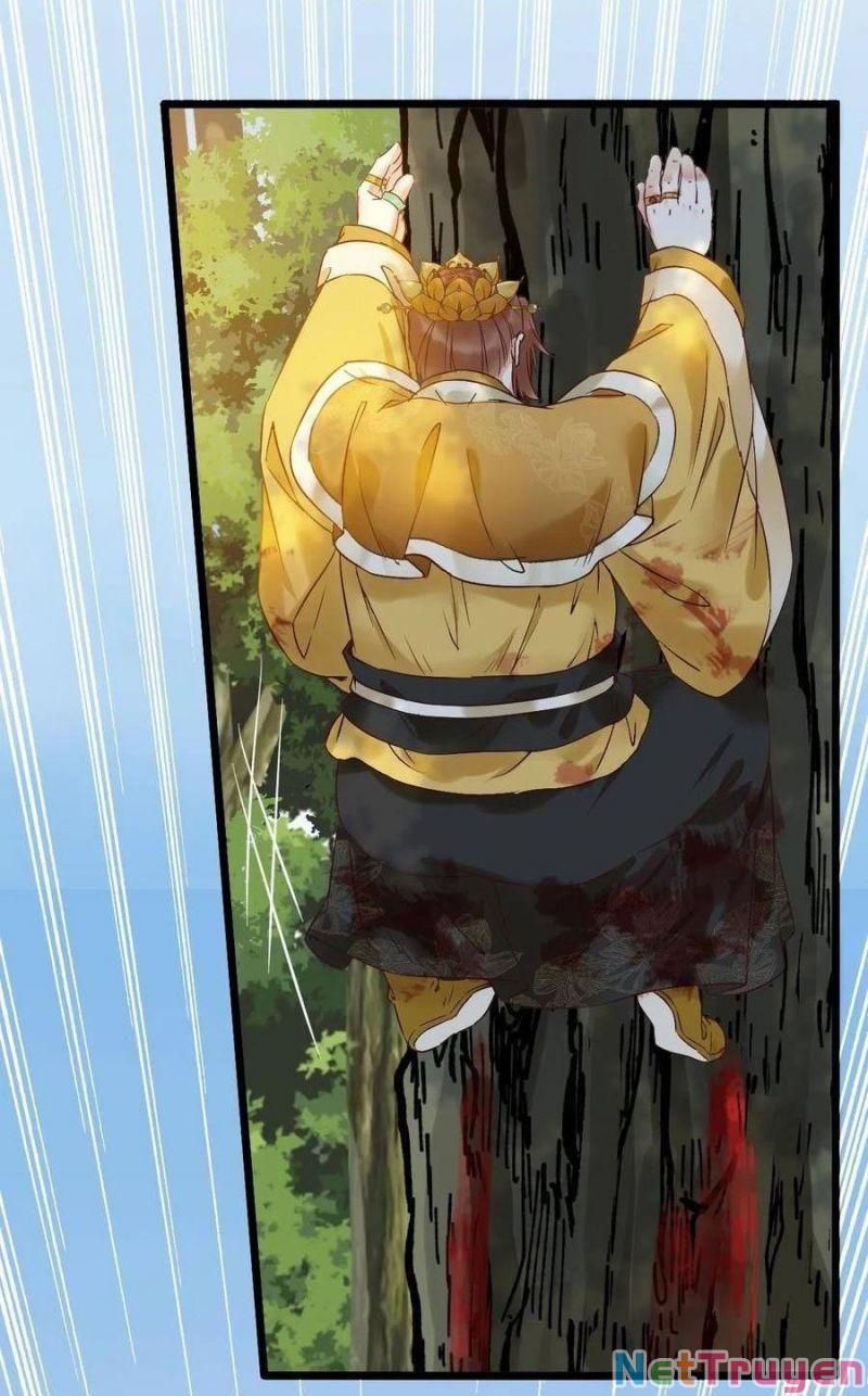 đọc truyện Tuyệt Sắc Quyến Rũ: Quỷ Y Chí Tôn Chương 434 ảnh 23 tại Thiên Thai Truyện