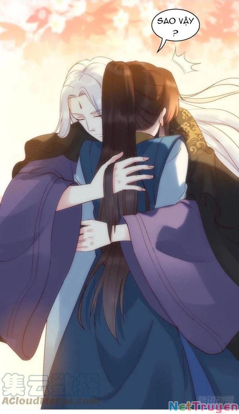 đọc truyện Tuyệt Sắc Quyến Rũ: Quỷ Y Chí Tôn Chương 455 ảnh 28 tại Thiên Thai Truyện