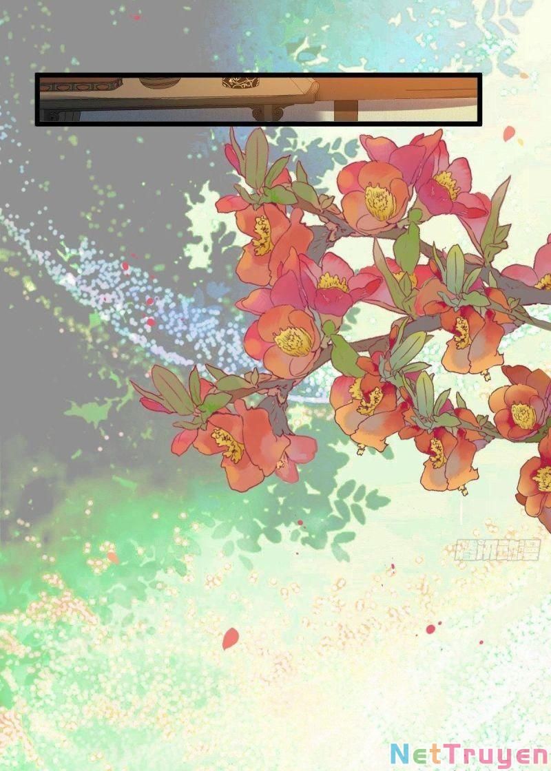 đọc truyện Tuyệt Sắc Quyến Rũ: Quỷ Y Chí Tôn Chương 464 ảnh 16 tại Thiên Thai Truyện