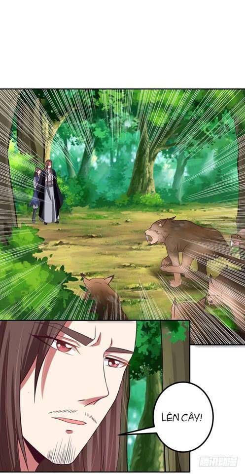 đọc truyện Tuyệt Sắc Quyến Rũ: Quỷ Y Chí Tôn Chương 5 ảnh 13 tại Thiên Thai Truyện