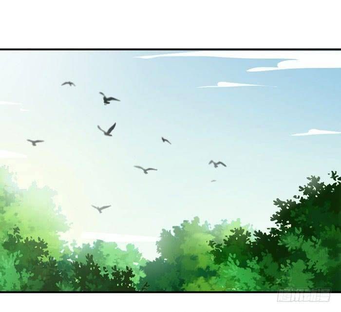 đọc truyện Tuyệt Sắc Quyến Rũ: Quỷ Y Chí Tôn Chương 5 ảnh 9 tại Thiên Thai Truyện