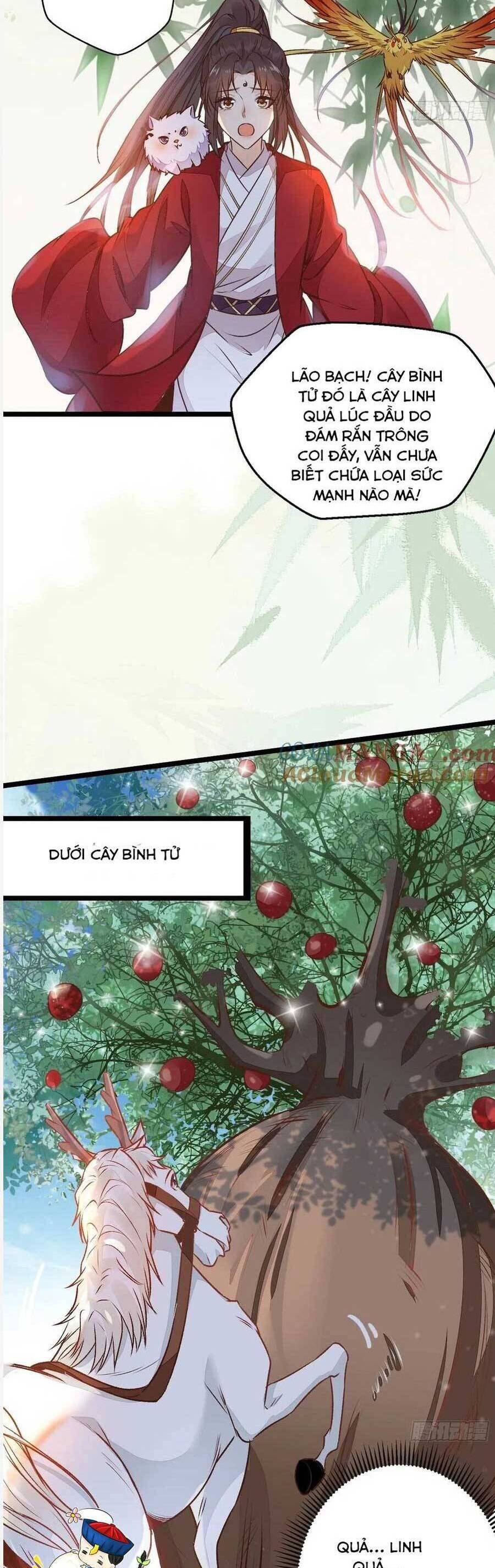 đọc truyện Tuyệt Sắc Quyến Rũ: Quỷ Y Chí Tôn Chương 504 ảnh 12 tại Thiên Thai Truyện