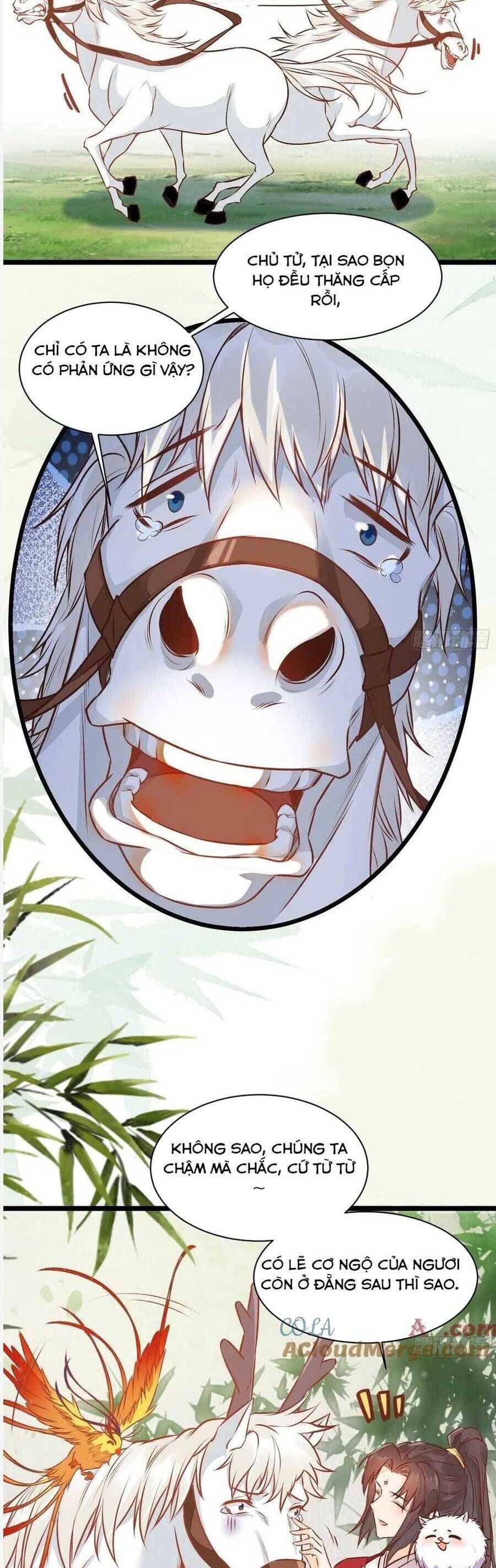 đọc truyện Tuyệt Sắc Quyến Rũ: Quỷ Y Chí Tôn Chương 504 ảnh 8 tại Thiên Thai Truyện