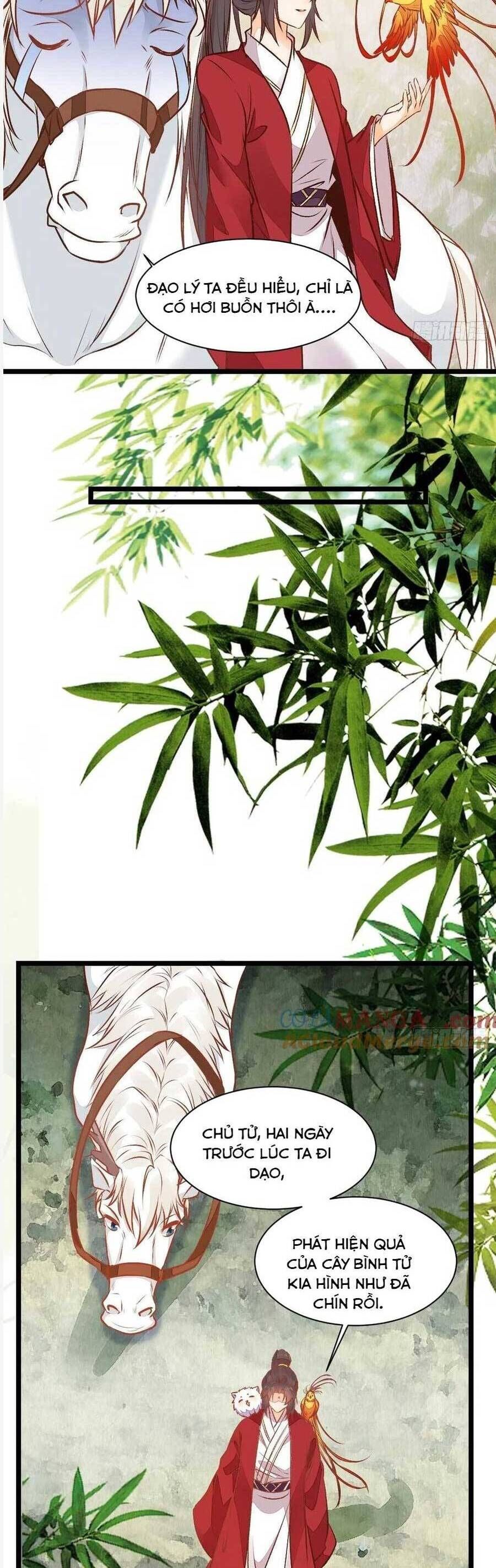 đọc truyện Tuyệt Sắc Quyến Rũ: Quỷ Y Chí Tôn Chương 504 ảnh 10 tại Thiên Thai Truyện