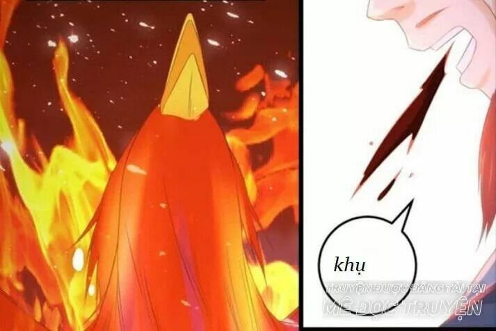 đọc truyện Tuyệt Sắc Quyến Rũ: Quỷ Y Chí Tôn Chương 51 ảnh 43 tại Thiên Thai Truyện