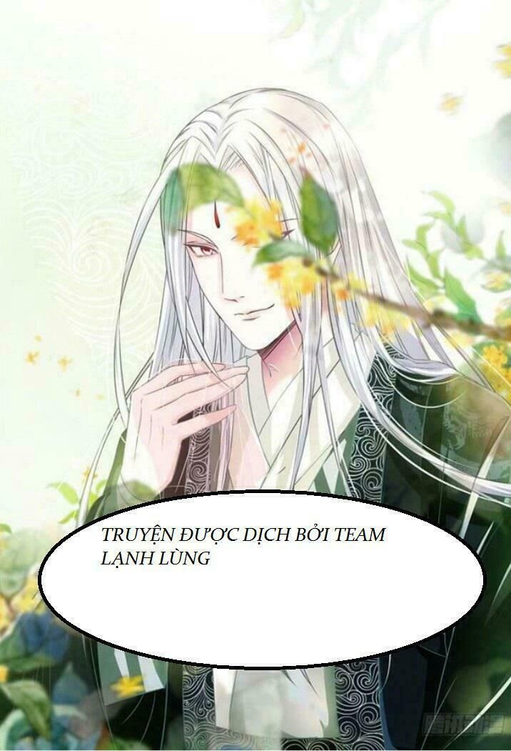 đọc truyện Tuyệt Sắc Quyến Rũ: Quỷ Y Chí Tôn Chương 53 ảnh 31 tại Thiên Thai Truyện