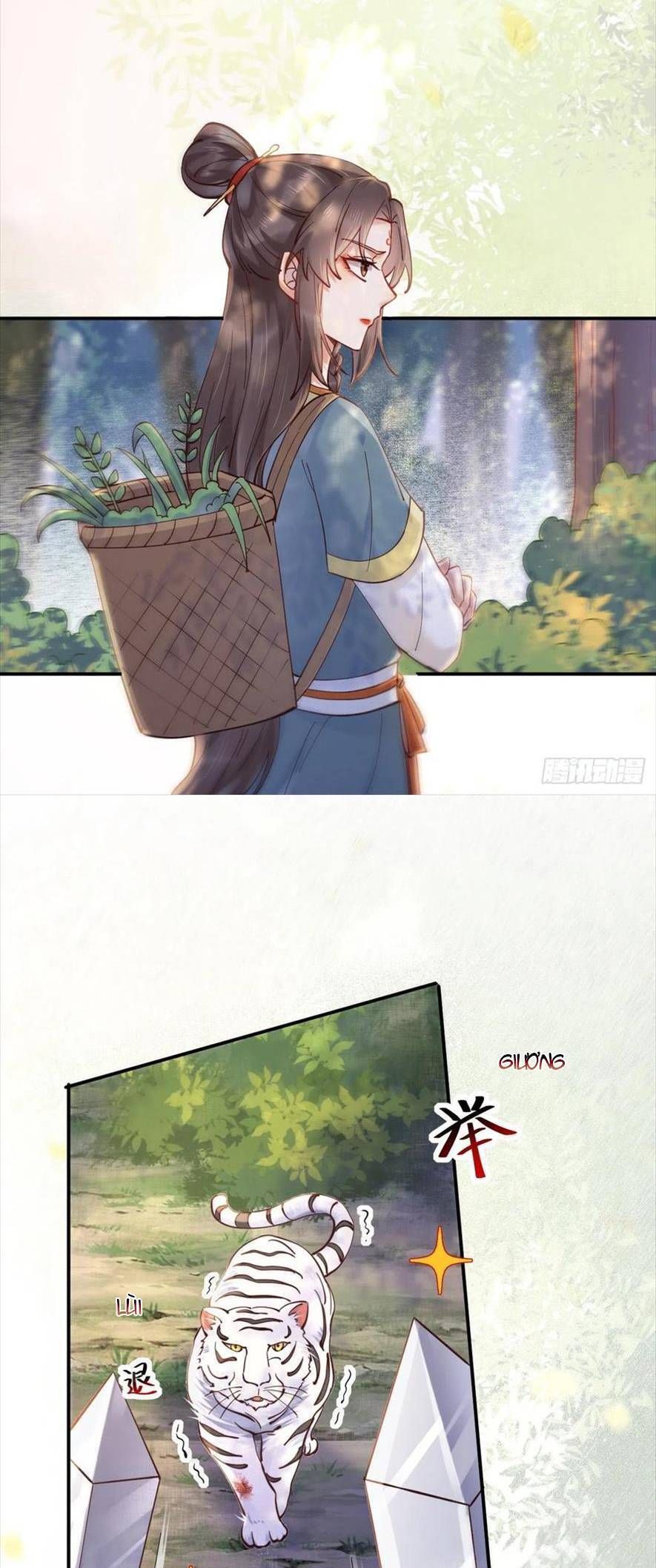 đọc truyện Tuyệt Sắc Quyến Rũ: Quỷ Y Chí Tôn Chương 538 ảnh 17 tại Thiên Thai Truyện