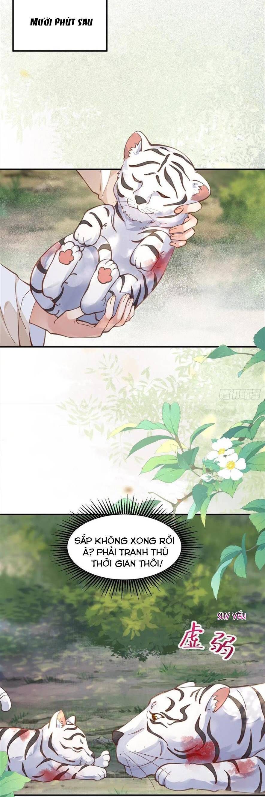 đọc truyện Tuyệt Sắc Quyến Rũ: Quỷ Y Chí Tôn Chương 539 ảnh 14 tại Thiên Thai Truyện